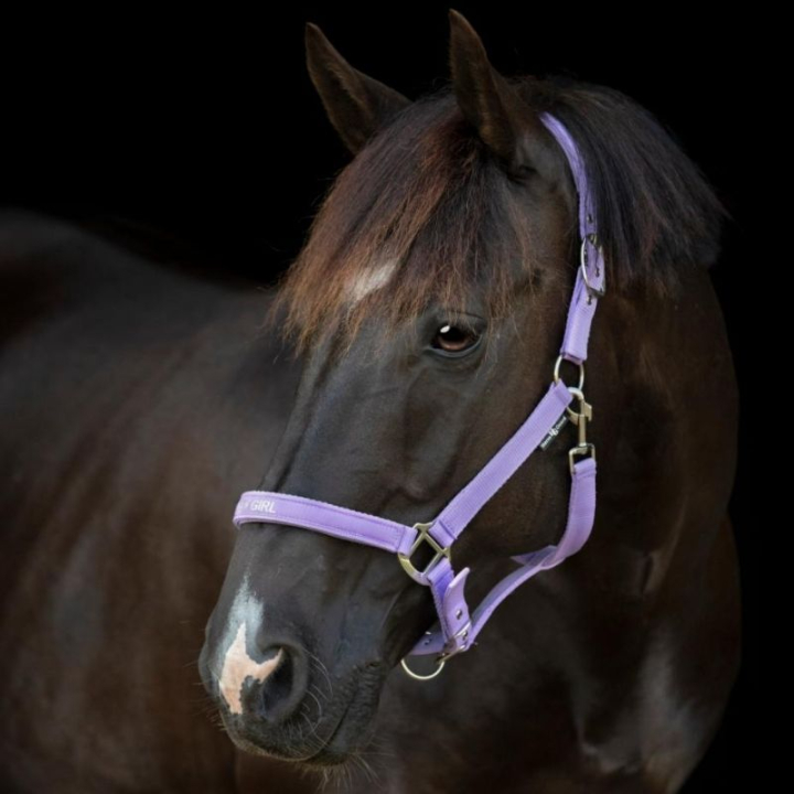 Grime Malva HG Lilla i gruppen Hesteutstyr / Grimer / Stoff- & Nylongrimer hos Equinest (50499020142PU_r)