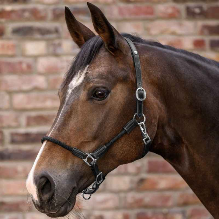 Lærgrime Nevada X-Line Svart/Svart i gruppen Hesteutstyr / Grimer / Lærgrimer hos Equinest (5050201VBABA_r)