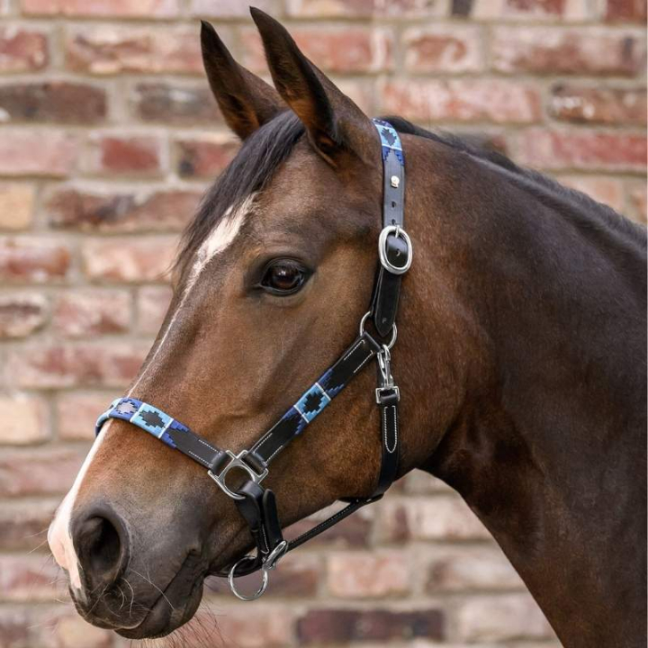 Lærgrime Polo X-Line Svart/Blå i gruppen Hesteutstyr / Grimer / Lærgrimer hos Equinest (5050701PBABL_r)