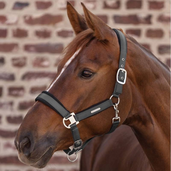 Grime Breath Grå i gruppen Hesteutstyr / Grimer / Stoff- & Nylongrimer hos Equinest (5051610PGR_r)