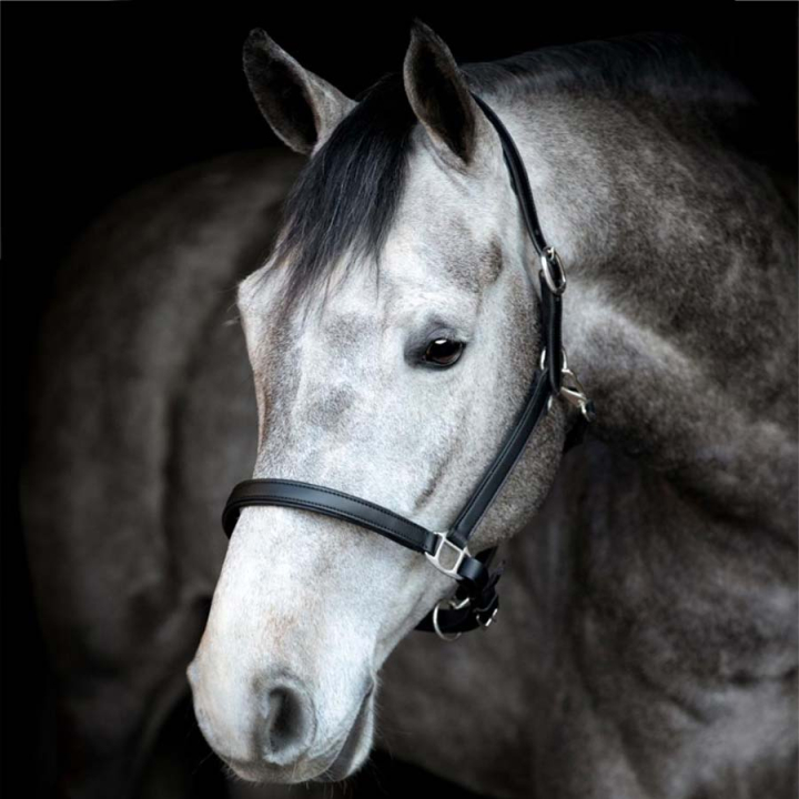 Lærgrime Sabine HG Svart i gruppen Hesteutstyr / Grimer / Lærgrimer hos Equinest (505332001BA)