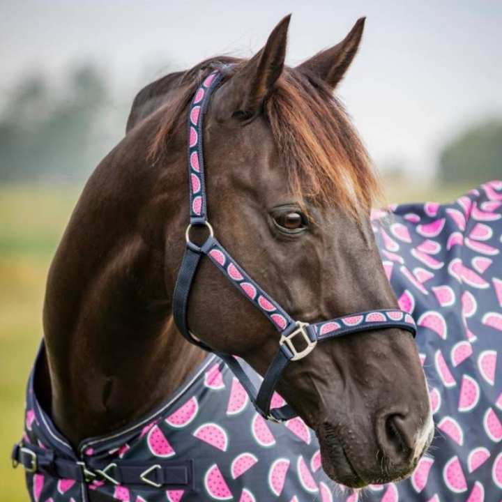 Grime Watermelon HG Marineblå i gruppen Hesteutstyr / Grimer / Stoff- & Nylongrimer hos Equinest (506830214NA_r)