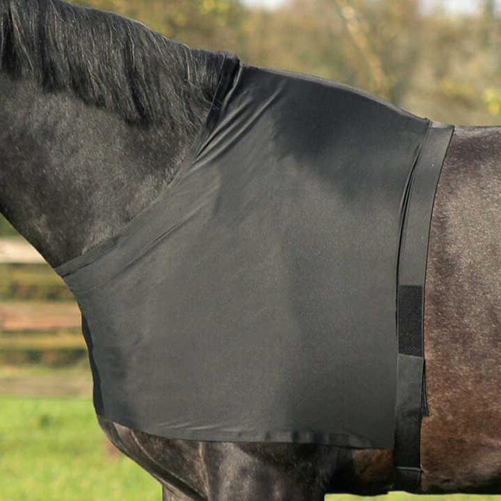 Bogbeskytter Elastic Svart i gruppen Hestedekken / Tilbehør dekken / Boggbeskyttere hos Equinest (5106ZWLBA_r)