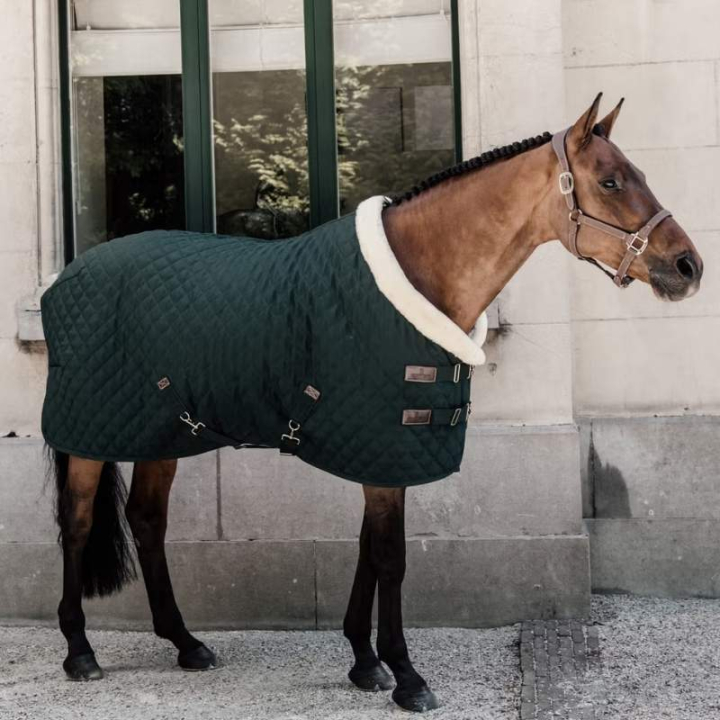 Stevnedekken/Stalldekken 160g Mørkegrønn i gruppen Hestedekken / Konkurranse- & Transportdekken hos Equinest (52101Gn_r)