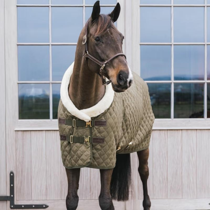 Stevnedekken/Stalldekken 160g Grønn i gruppen Hestedekken / Konkurranse- & Transportdekken hos Equinest (52101LGN)