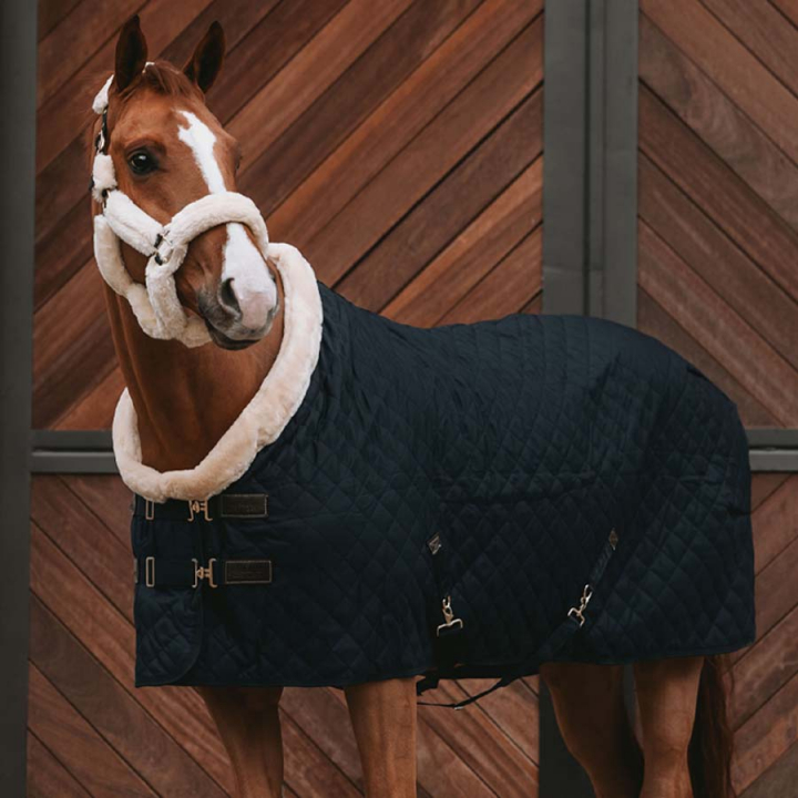 Stevnedekken/Stalldekken 160g Svart i gruppen Hestedekken / Konkurranse- & Transportdekken hos Equinest (52101Sv_r)