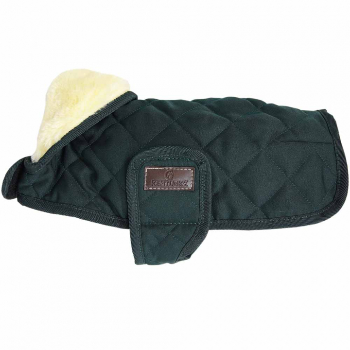 Hundedekken Original Grønn i gruppen Hund / Hundedekken hos Equinest (52104Gn_r)