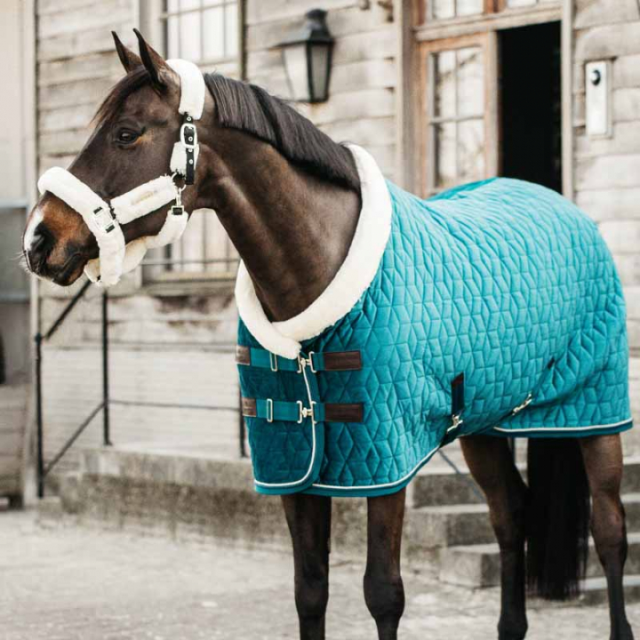 Stevnedekken Velvet Emerald i gruppen Hestedekken / Konkurranse- & Transportdekken hos Equinest (52171Gn_r)