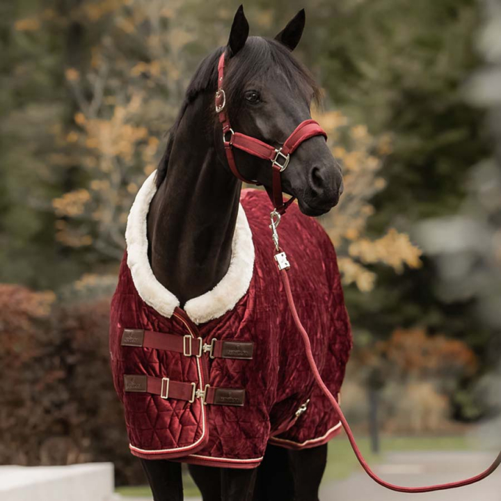 Stevnedekken Velvet Bordeaux i gruppen Hestedekken / Konkurranse- & Transportdekken hos Equinest (52171Vn_r)