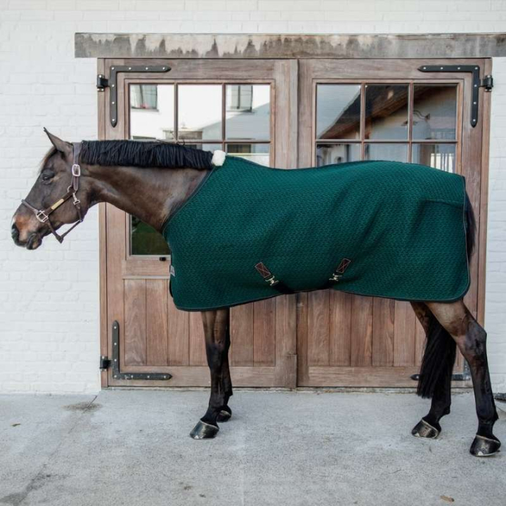 Svettedekken 4D Spacer Grønn i gruppen Hestedekken / Svettedekken hos Equinest (52183PGN)