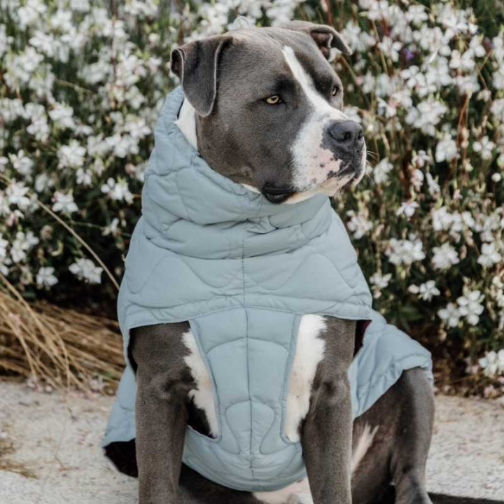 Hundedekken Winter Pina 160g Blå i gruppen Hund / Hundedekken hos Equinest (5218809LBL_r)