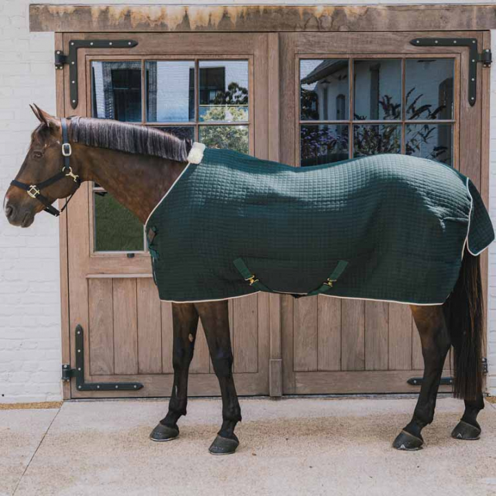 Svettedekken PROTherm Mørkegrønn i gruppen Hestedekken / Svettedekken hos Equinest (52231DGN_r)