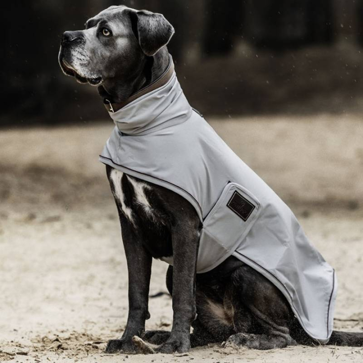 Regndekken Hund 0g Grå i gruppen Hund / Hundedekken hos Equinest (5224509LBL_r)