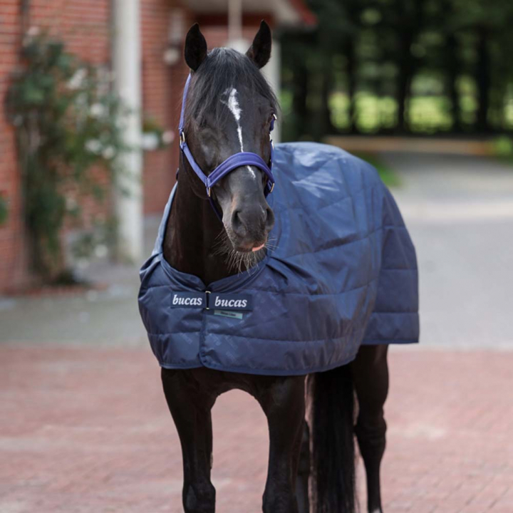 Liner Layer 200g Marineblå i gruppen Hestedekken / Liners & Underdekken hos Equinest (55235BL)