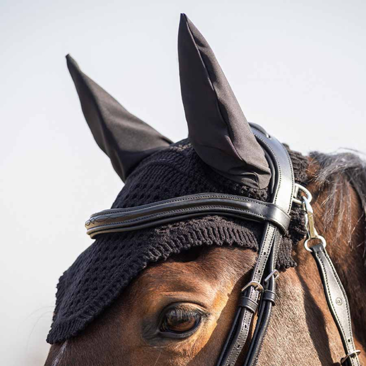 Ørehette Salerno Svart i gruppen Hesteutstyr / Ørehetter hos Equinest (5535ZW3BA_r)