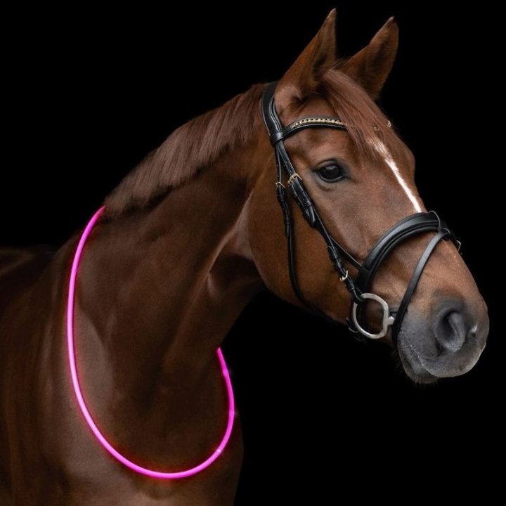 Halsring LED Light Rosa i gruppen Rideutstyr / Reflekser hos Equinest (5733431PI)