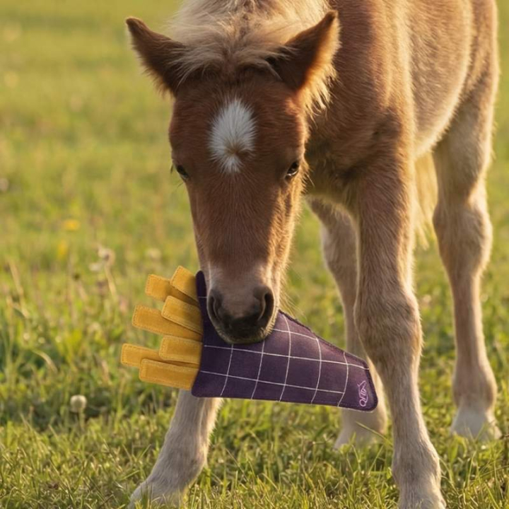 Hesteleke Snackcounter Fries i gruppen Stall & Paddock / Hestelek hos Equinest (5740FRS0)