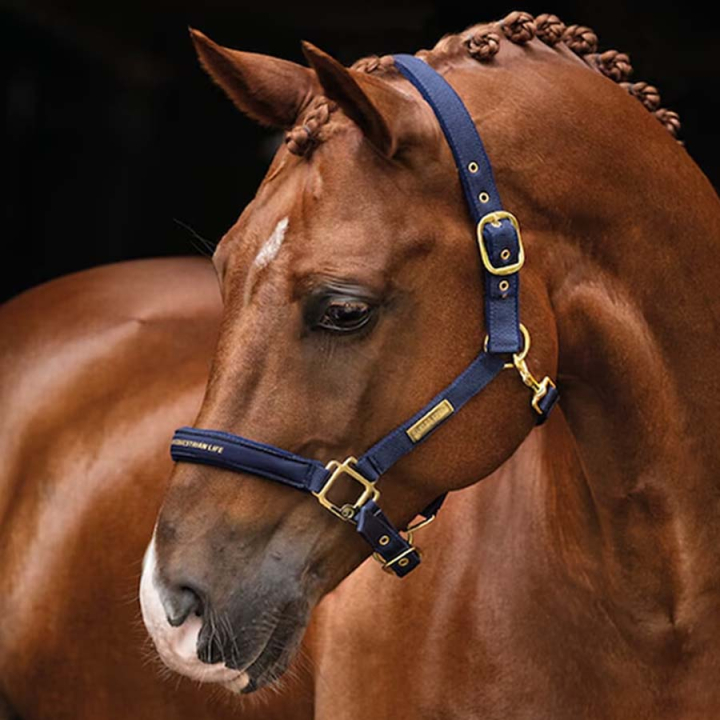 Grime HS Equestrian Life Marineblå i gruppen Hesteutstyr / Grimer / Stoff- & Nylongrimer hos Equinest (600543NA_r)