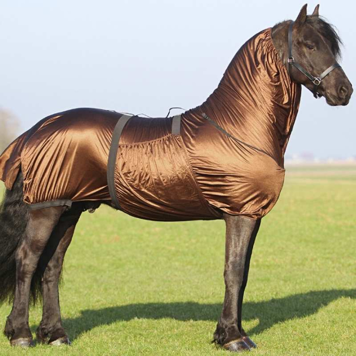 Eksemdekken Big Neck Brun i gruppen Hestedekken / Fluedekken & Eksemdekken hos Equinest (6005BR18BR_r)
