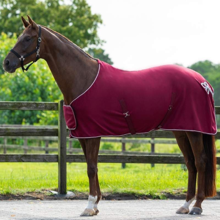 Fleecedekken Ornament Vinrød/Sølv i gruppen Hestedekken / Fleecedekken hos Equinest (6014BOZI145WN_r)