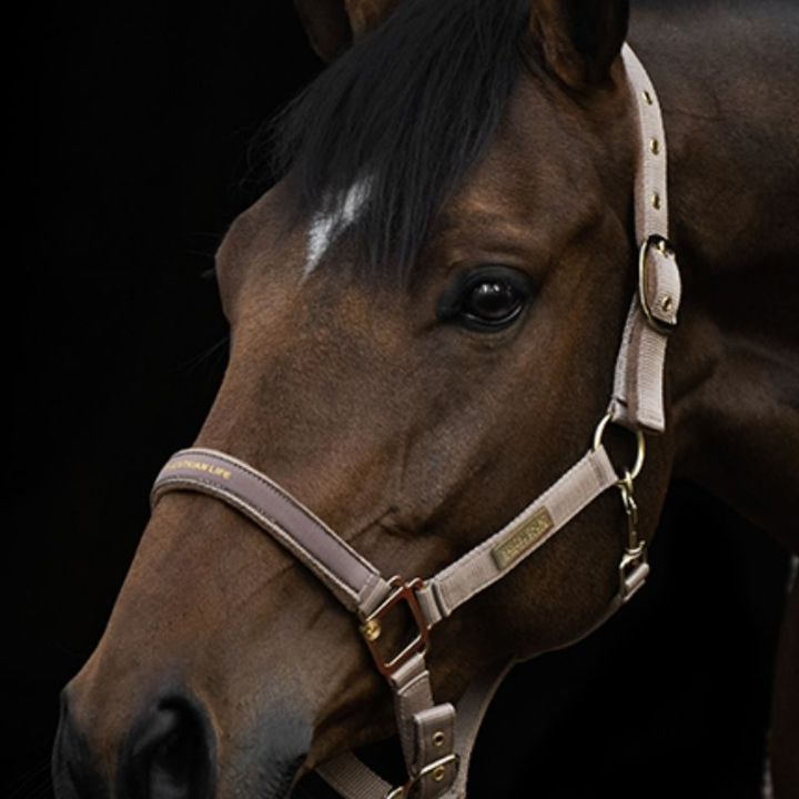Grime HS Equestrian Life Beige i gruppen Hesteutstyr / Grimer / Stoff- & Nylongrimer hos Equinest (602903BE_r)