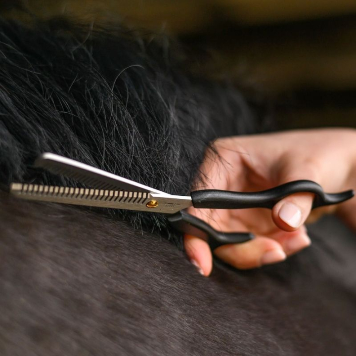 Effileringssaks Thinning Shears Svart i gruppen Stell & Pleie / Børster / Sakser & Trimkniver hos Equinest (603300BA)
