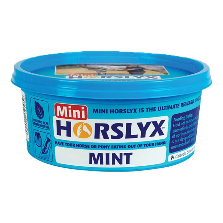 Slikkestein Mini Mint Balancer 650g i gruppen Tilskudd / Tilskudd hest / Saltsteiner & Slikkesteiner hos Equinest (603327-MINT)