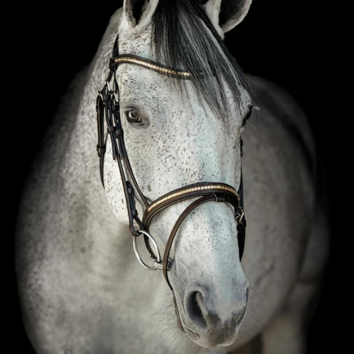 Hodelag HS Clincher Aachen Brun i gruppen Hesteutstyr / Hodelag & Pannebånd / Hodelag hos Equinest (603353BR_r)