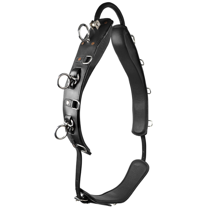 Tømmekjøringsgjord med bue HS Svart i gruppen Hesteutstyr / Longering & Tømmekjøring hos Equinest (603953BA)