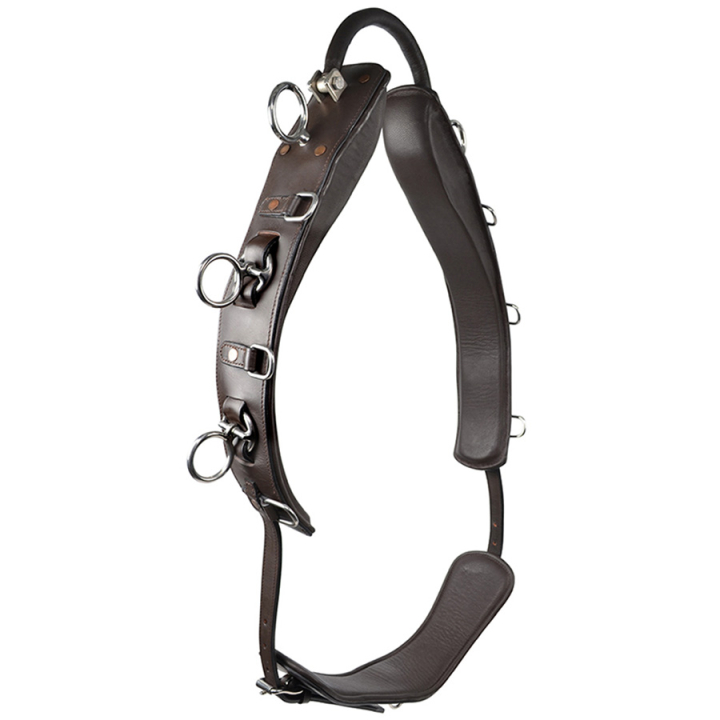 Tømmekjøringsgjord med bue HS Brun i gruppen Hesteutstyr / Longering & Tømmekjøring hos Equinest (603954BR)