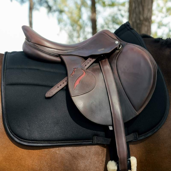 Sjabrak HS Cool Mesh Svart i gruppen Hesteutstyr / Sjabraker / Allround & Sprangsjabraker hos Equinest (604023BA_r)