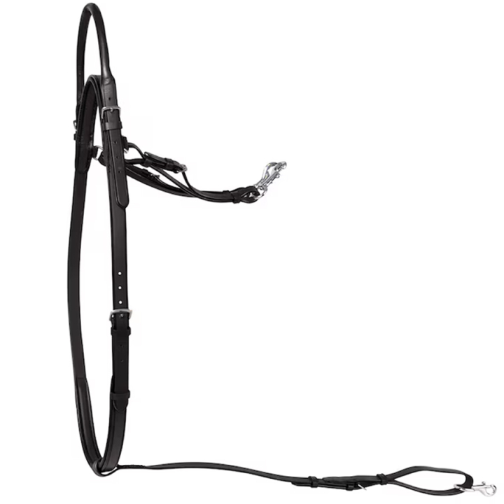 Halsreim med håndtak HS Brun i gruppen Hesteutstyr / Martingal & Fortøy / Fortøy hos Equinest (604110BR)