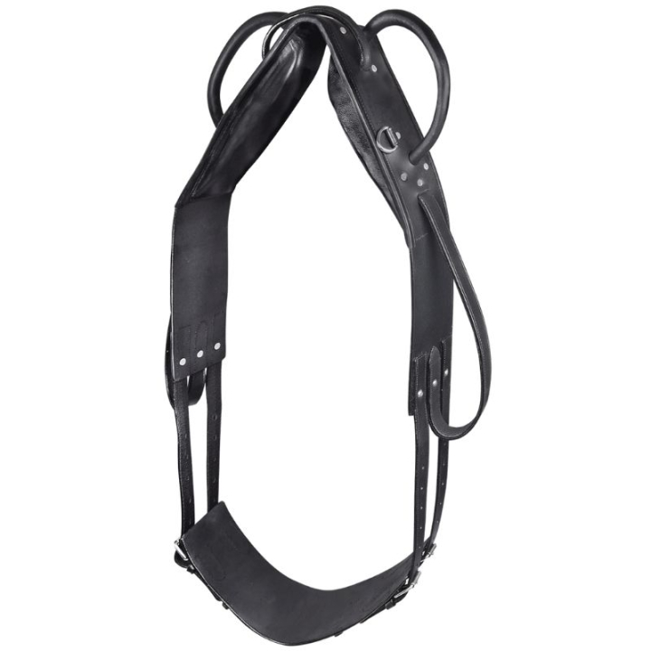 Voltigegjord Leather Svart i gruppen Hesteutstyr / Longering & Tømmekjøring hos Equinest (608001POBA_r)