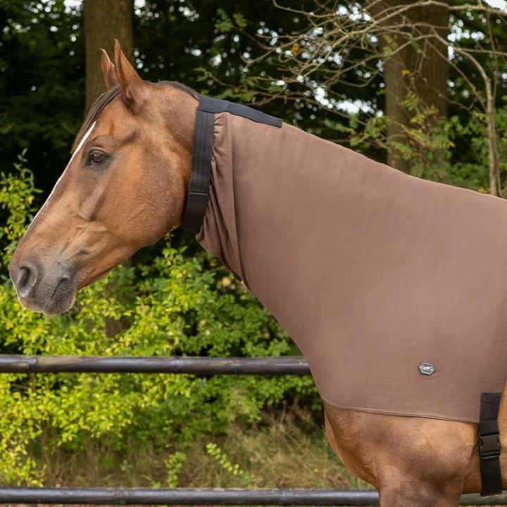 Eksemhals Elastic Brun i gruppen Hestedekken / Halser hos Equinest (6092BRXSBR_r)