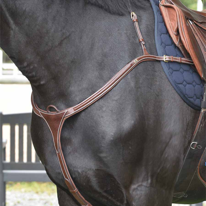 Fortøy E-Logo Brun/Messing i gruppen Hesteutstyr / Martingal & Fortøy / Fortøy hos Equinest (610001000203BR)