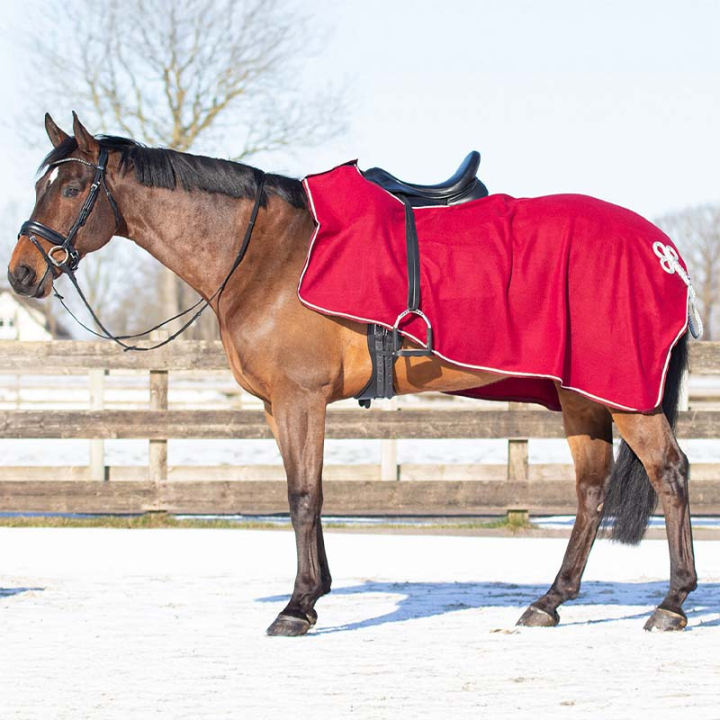 Skrittedekken Ornament Fleece Vinrød/Sølv i gruppen Hestedekken / Lendedekken hos Equinest (6106BOZILWN_r)