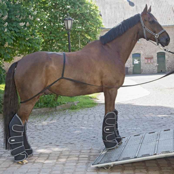 Lastehjelp Transport Aid Svart i gruppen Hesteutstyr / Transport hos Equinest (6178200BA)
