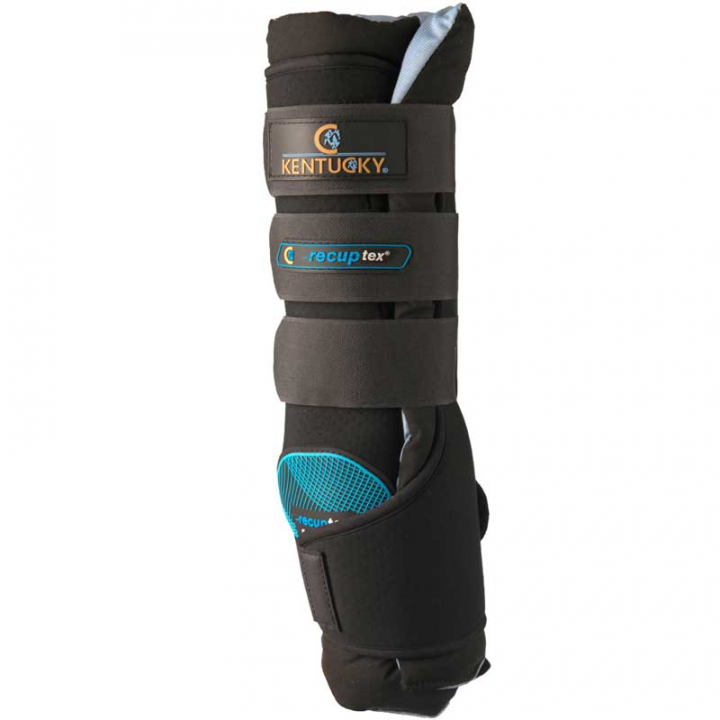 Magnetbeskyttere Recuptex Svart i gruppen Stell & Pleie / Massasje & Blodsirkulasjon hos Equinest (62101Sv_r)