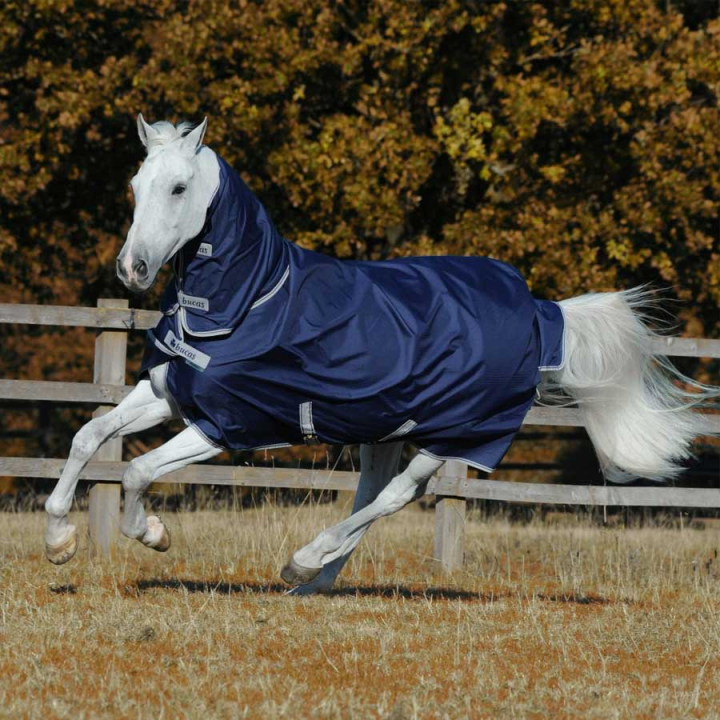 Vinterdekken med Hals Freedom Turnout 150g Marineblå i gruppen Hestedekken / Utedekken / Vinterdekken hos Equinest (67325_M_r)