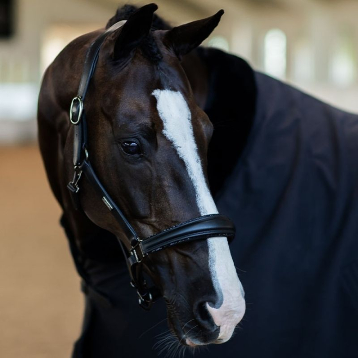 Anatomisk Lærgrime ES Glimmer Black Edition i gruppen Hesteutstyr / Grimer / Lærgrimer hos Equinest (734020642359BA_r)