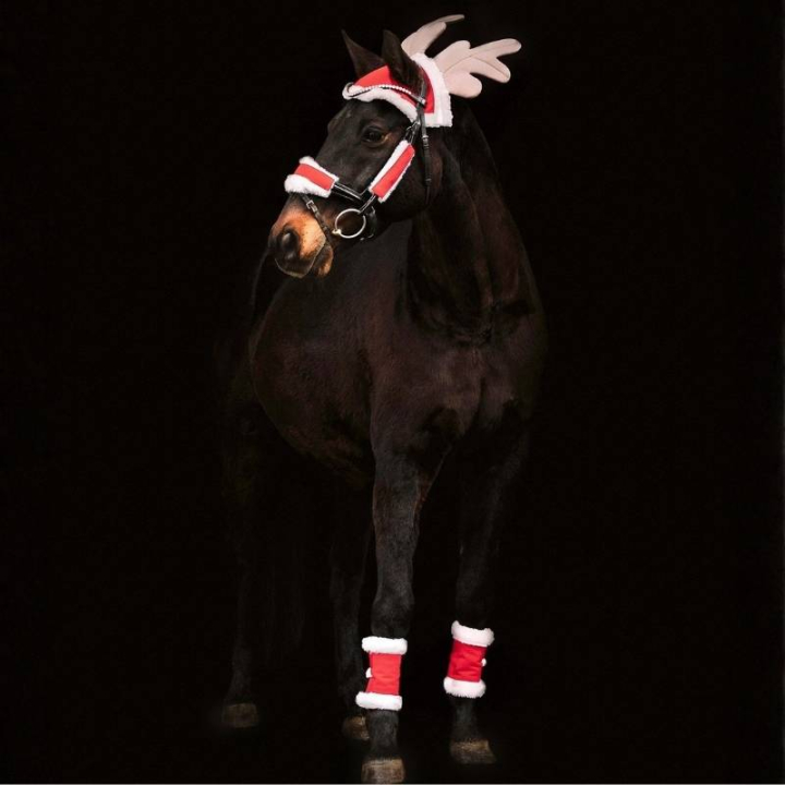 Christmas Set 6 deler Rød/Hvit i gruppen Høytider & Maskerade hos Equinest (7464801REWH)