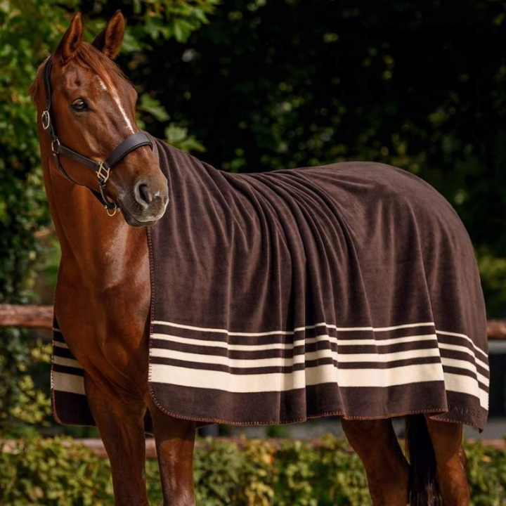 Fleecepledd Sölden Brun i gruppen Hestedekken / Fleecedekken hos Equinest (80010459BR)