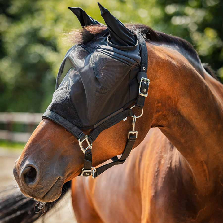 Grime med fluemaske HG Svart i gruppen Fluebeskyttelse / Fluemasker hos Equinest (806990201BA_r)