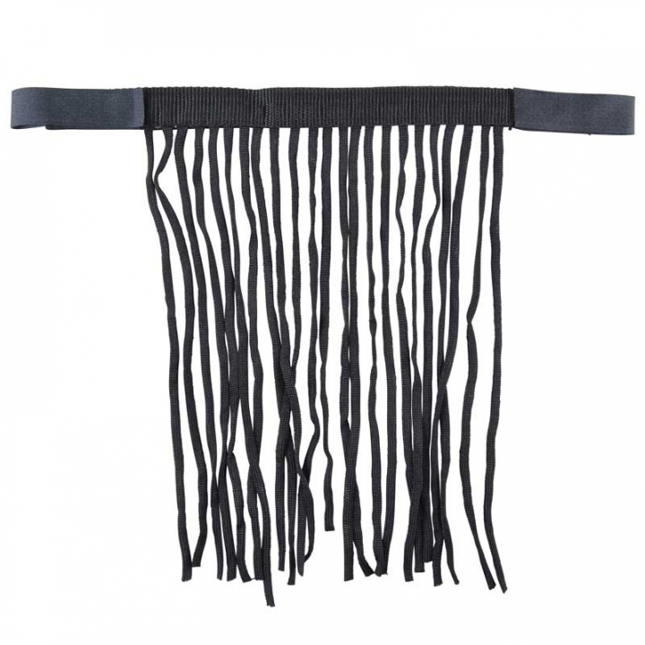 Fluepannebånd Polyester Svart i gruppen Fluebeskyttelse / Fluepannebånd hos Equinest (811417Sv_r)