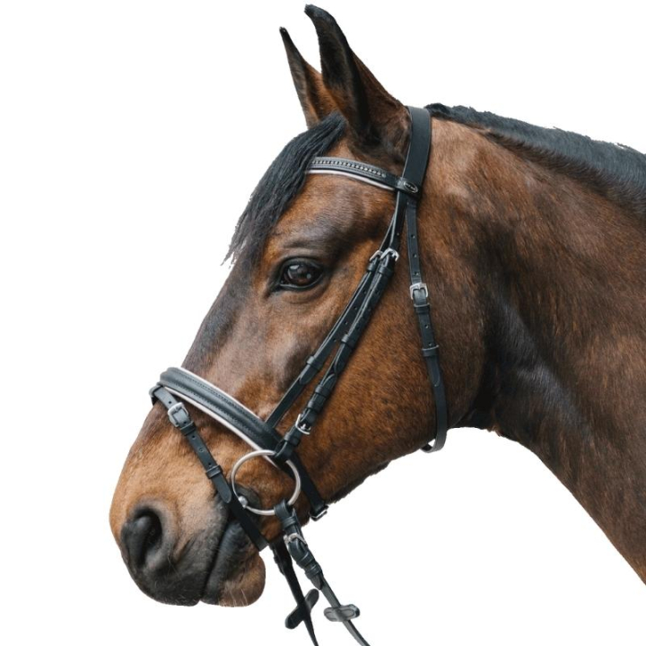 Hodelag Diamond Svart/Hvit i gruppen Hesteutstyr / Hodelag & Pannebånd / Hodelag hos Equinest (81357002BAWH_r)
