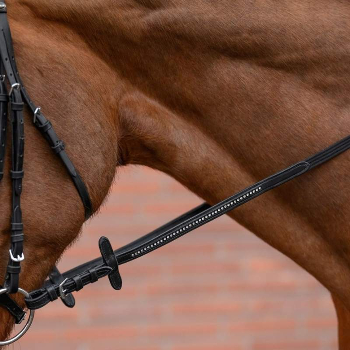 Webtøyler Diamond Svart i gruppen Hesteutstyr / Tøyler / Webtøyler hos Equinest (8139801PBA_r)