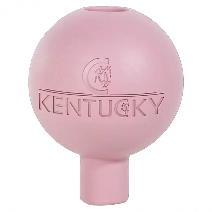 Gummiball Lead & Wall Protection Rubber Gammelrosa i gruppen Stall & Paddock / Stallutstyr / Diverse hos Equinest (8215401OPI)