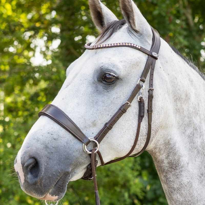 Bittløst hodelag Sunna Brun i gruppen Hesteutstyr / Hodelag & Pannebånd / Hackamore & Bittløse Hodelag hos Equinest (9074BR3BR_r)