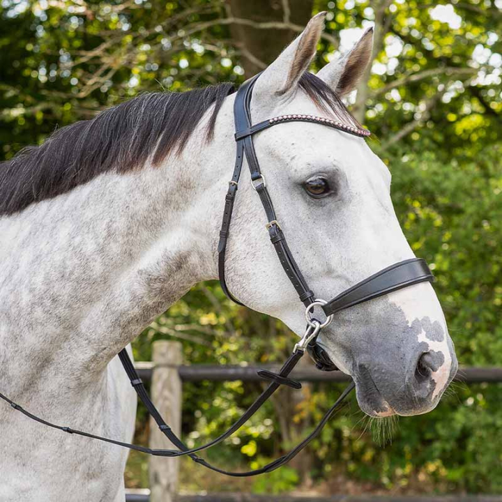 Bittløst hodelag Sunna Svart i gruppen Hesteutstyr / Hodelag & Pannebånd / Hackamore & Bittløse Hodelag hos Equinest (9074ZW3BA_r)