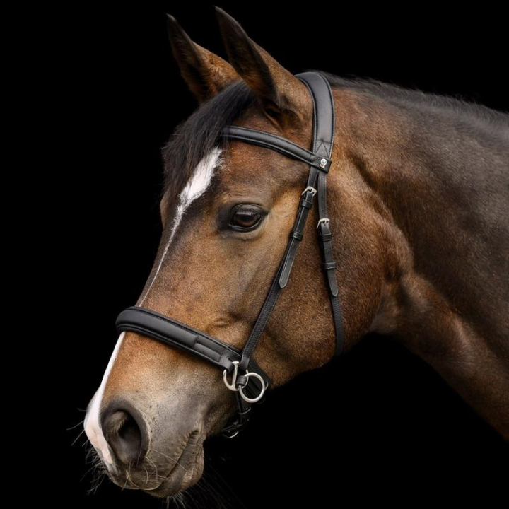 Bittløst hodelag Supersoft X-Line Svart i gruppen Hesteutstyr / Hodelag & Pannebånd / Hackamore & Bittløse Hodelag hos Equinest (9572301PBA_r)